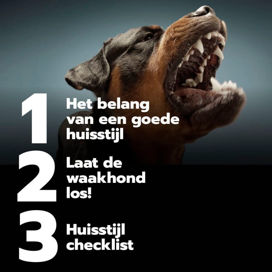 Foto-Waakhond-belang-goede-huisstijl