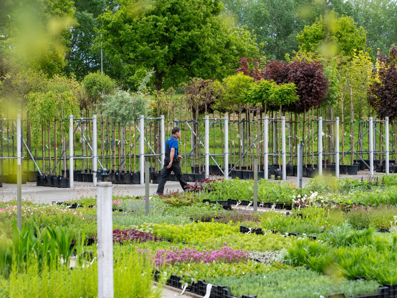 GreenSales_Mei2025-15