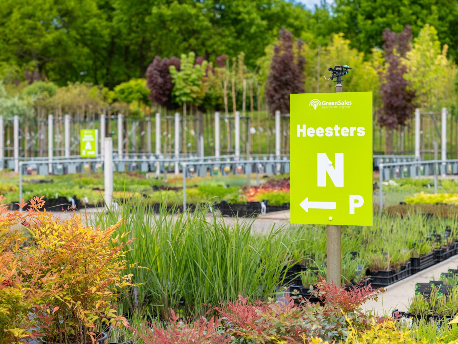 GreenSales_Mei2025-34