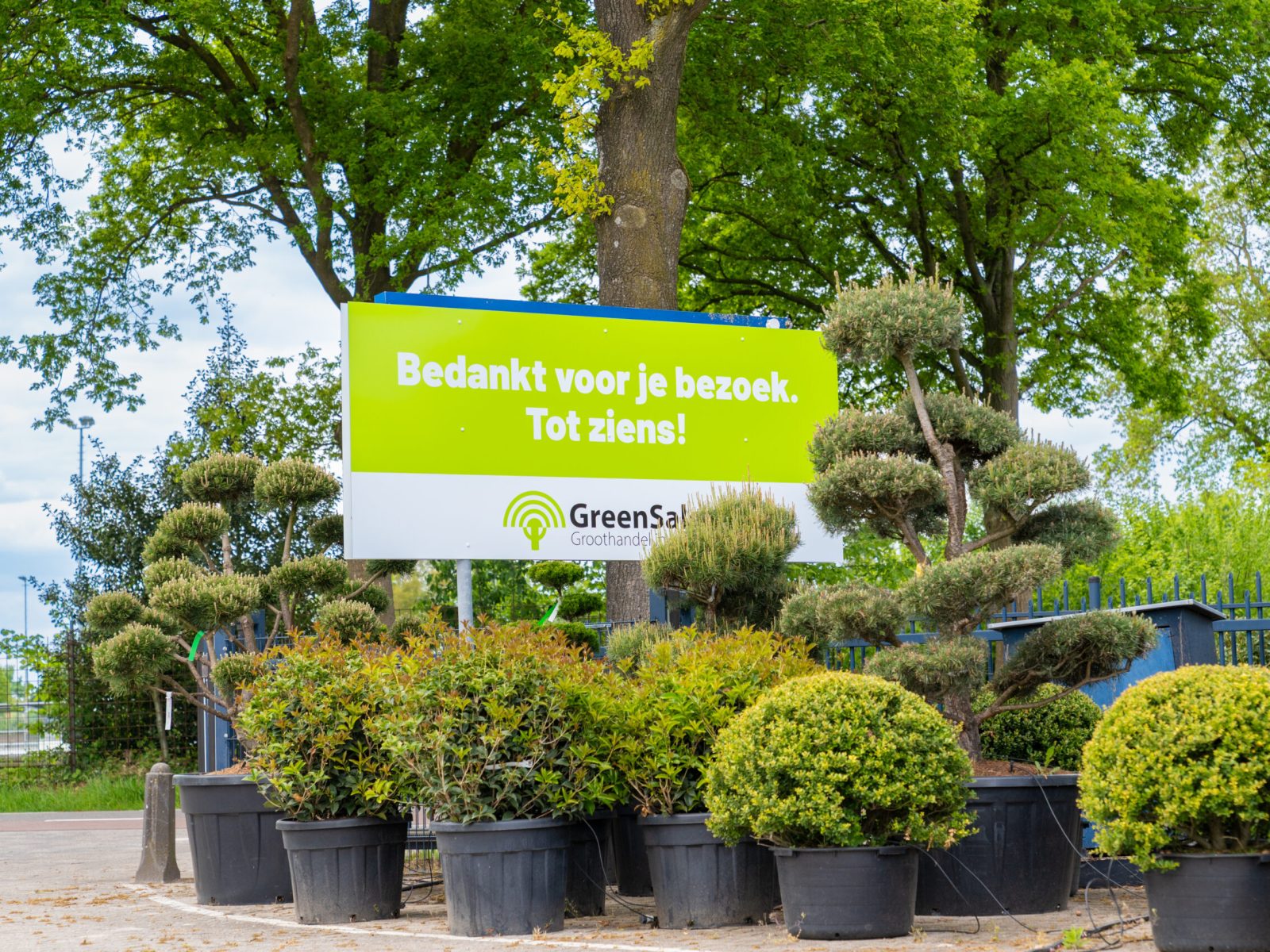 GreenSales_Mei2025-40